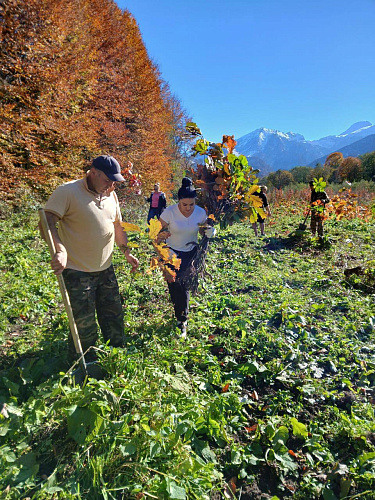 Фото: Ossetia.news